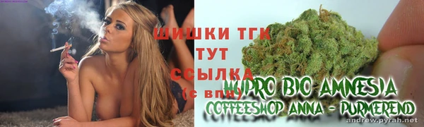 спайс Богданович