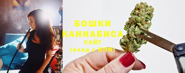 шишки Беломорск