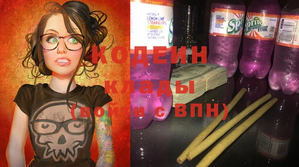 шишки Беломорск