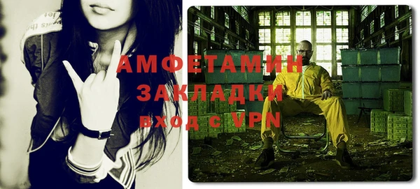 шишки Беломорск